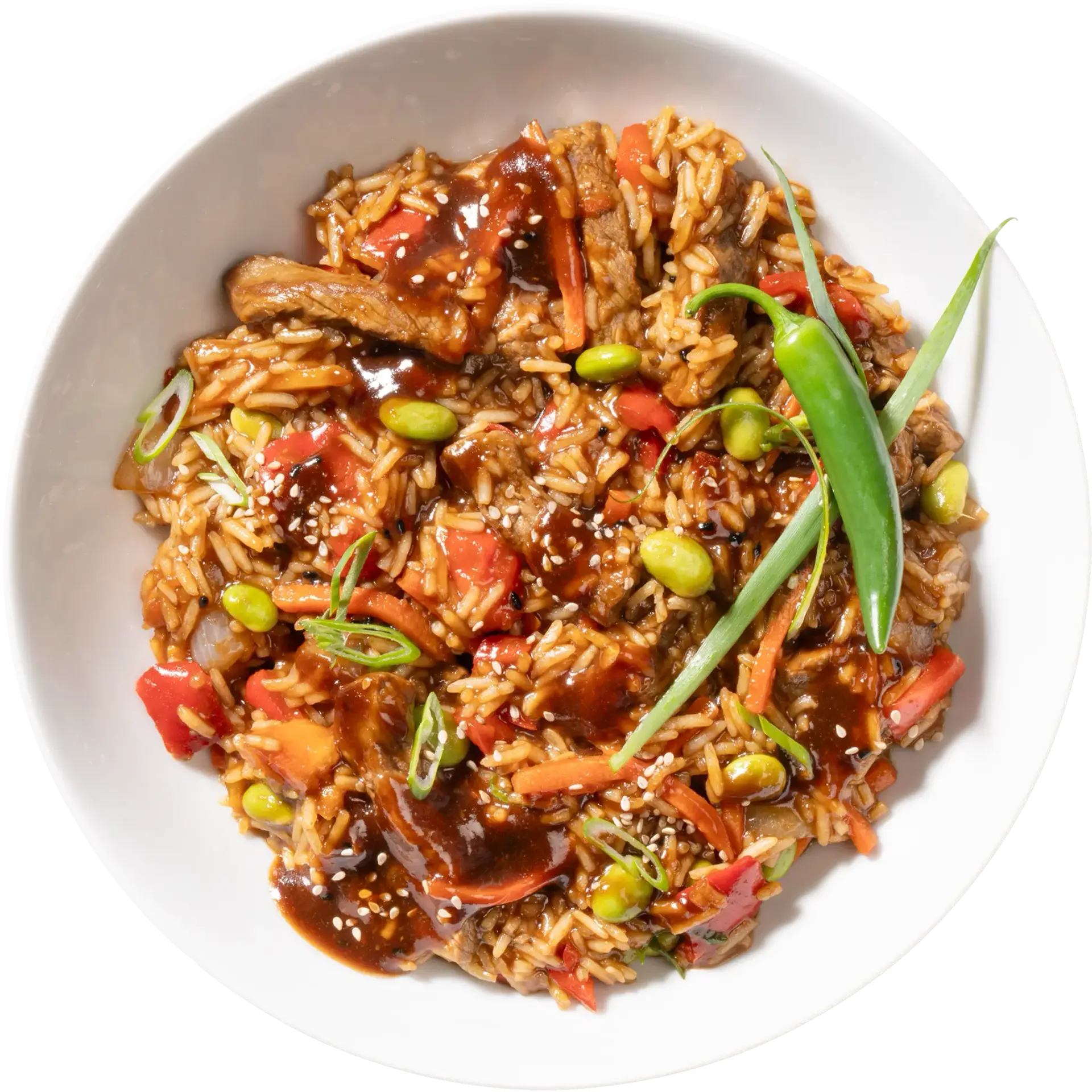 Beef Teriyaki